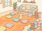 Cushion Island Rescue