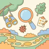 I Spy Adventure Walk